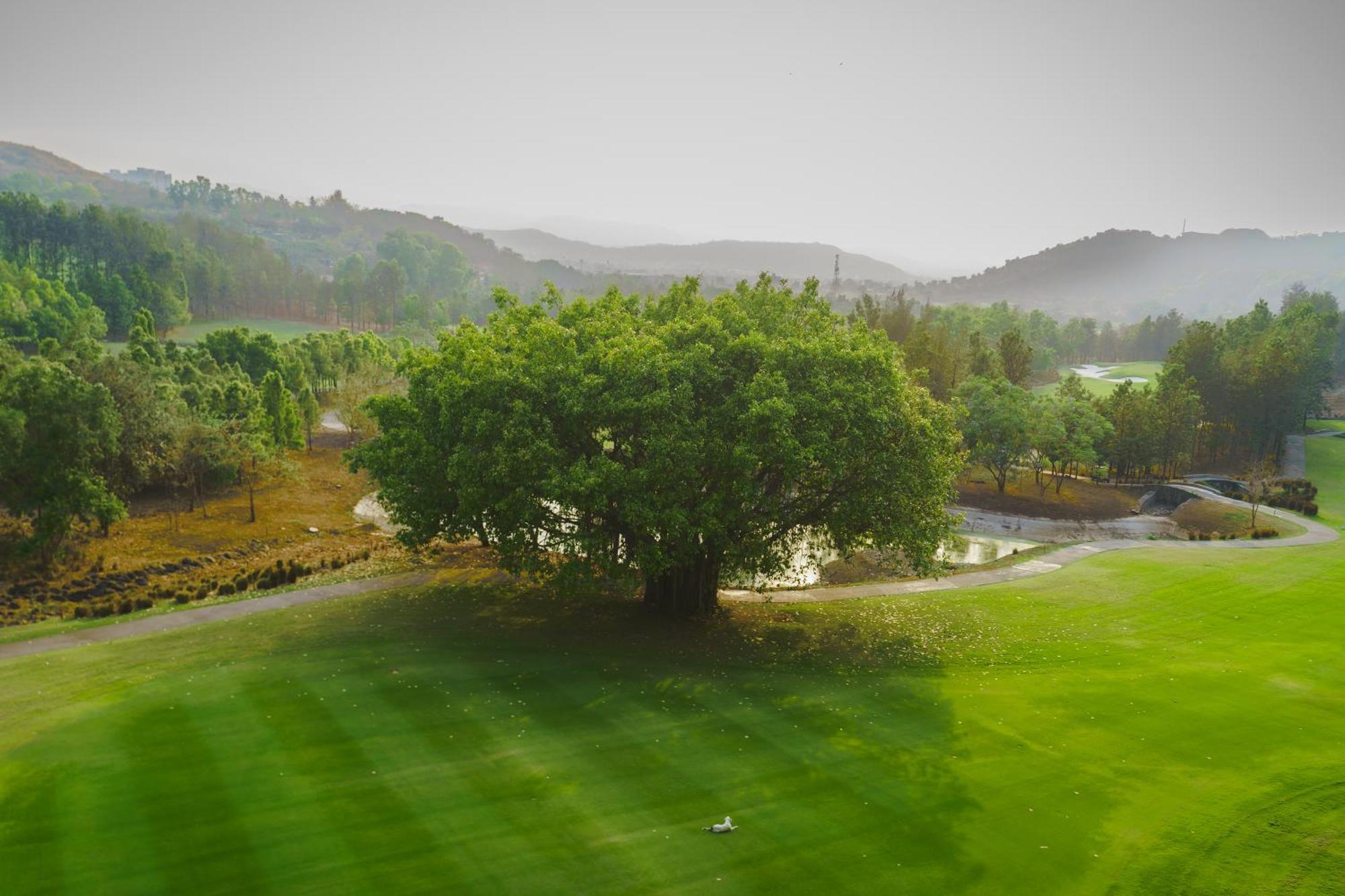 Oxford Golf Resort Pirangut Exterior foto